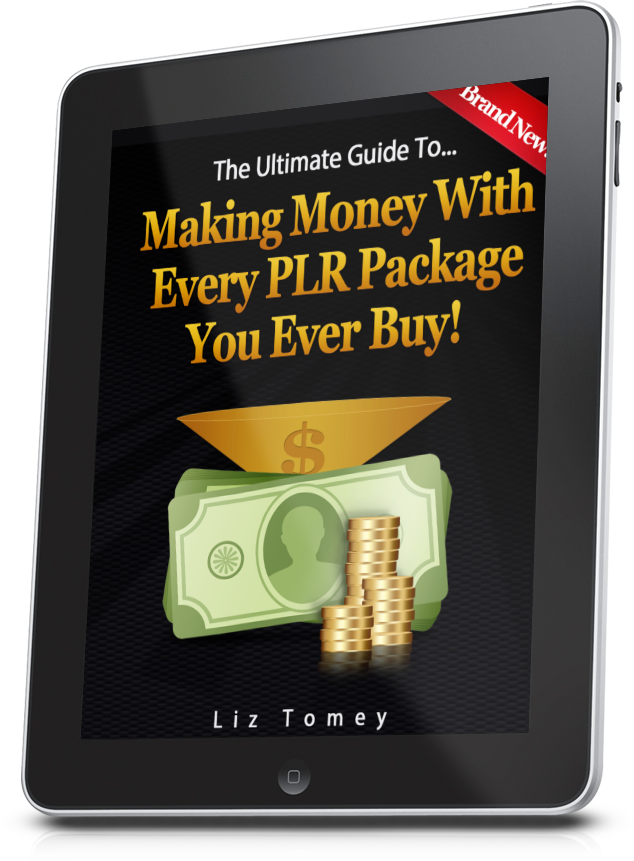 HowToMakeMoneyWithPLRCover3